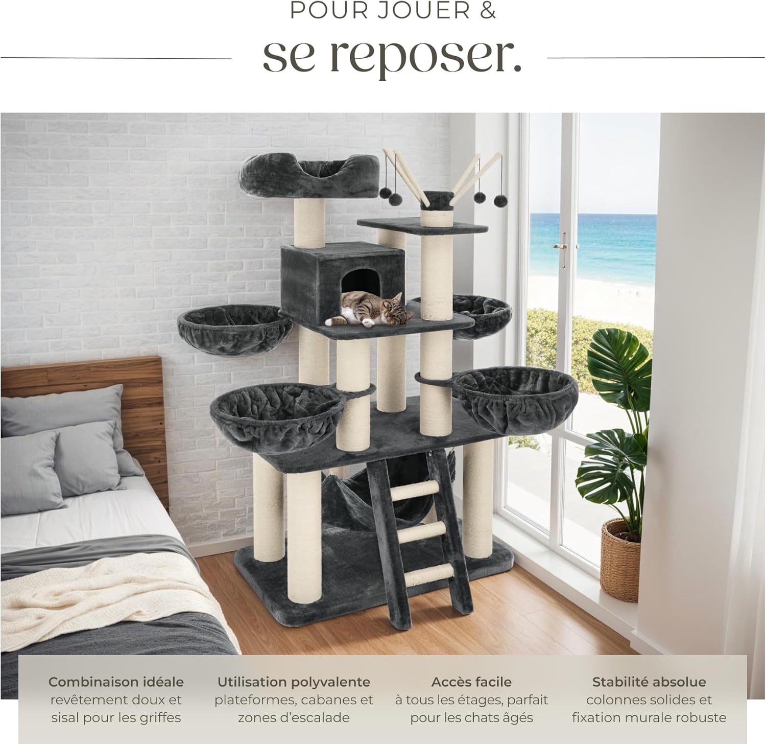 Chat pour Jeux et Repos - Griffoirs à chats