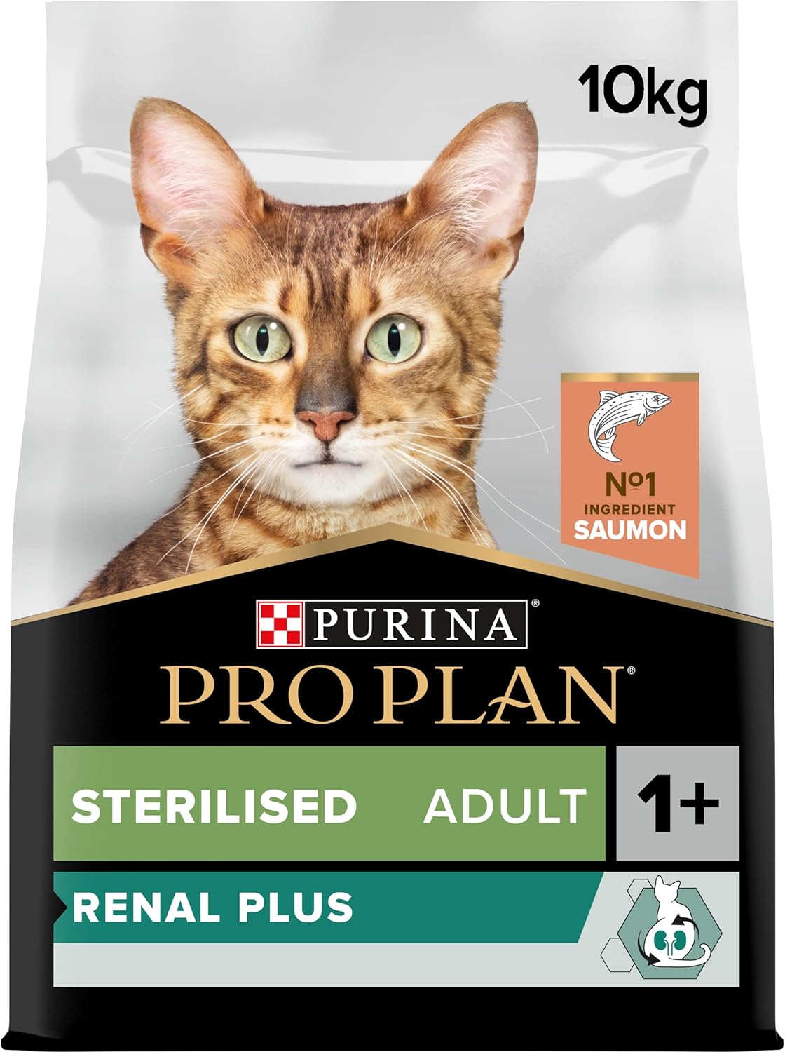 Croquettes-chat