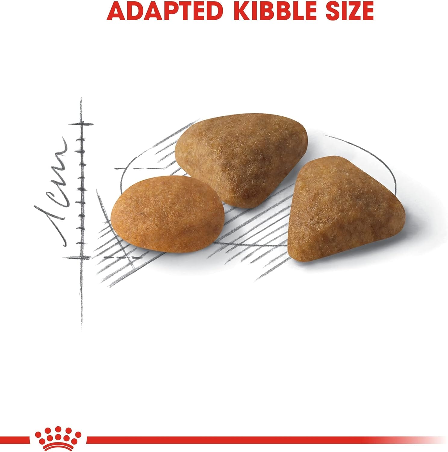 Croquettes pour chat adulte difficile Royal Canin 10kg
