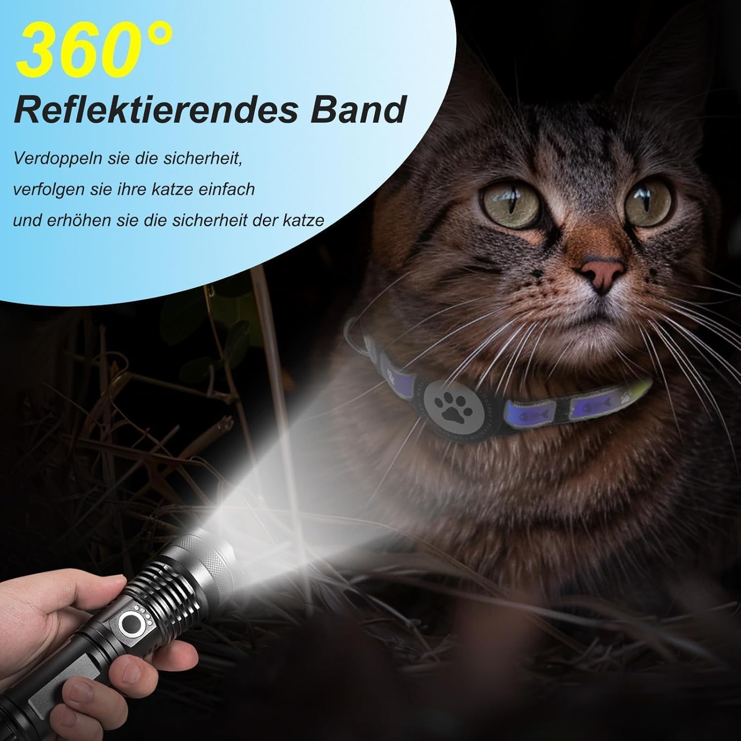 collier anti-étranglement chat