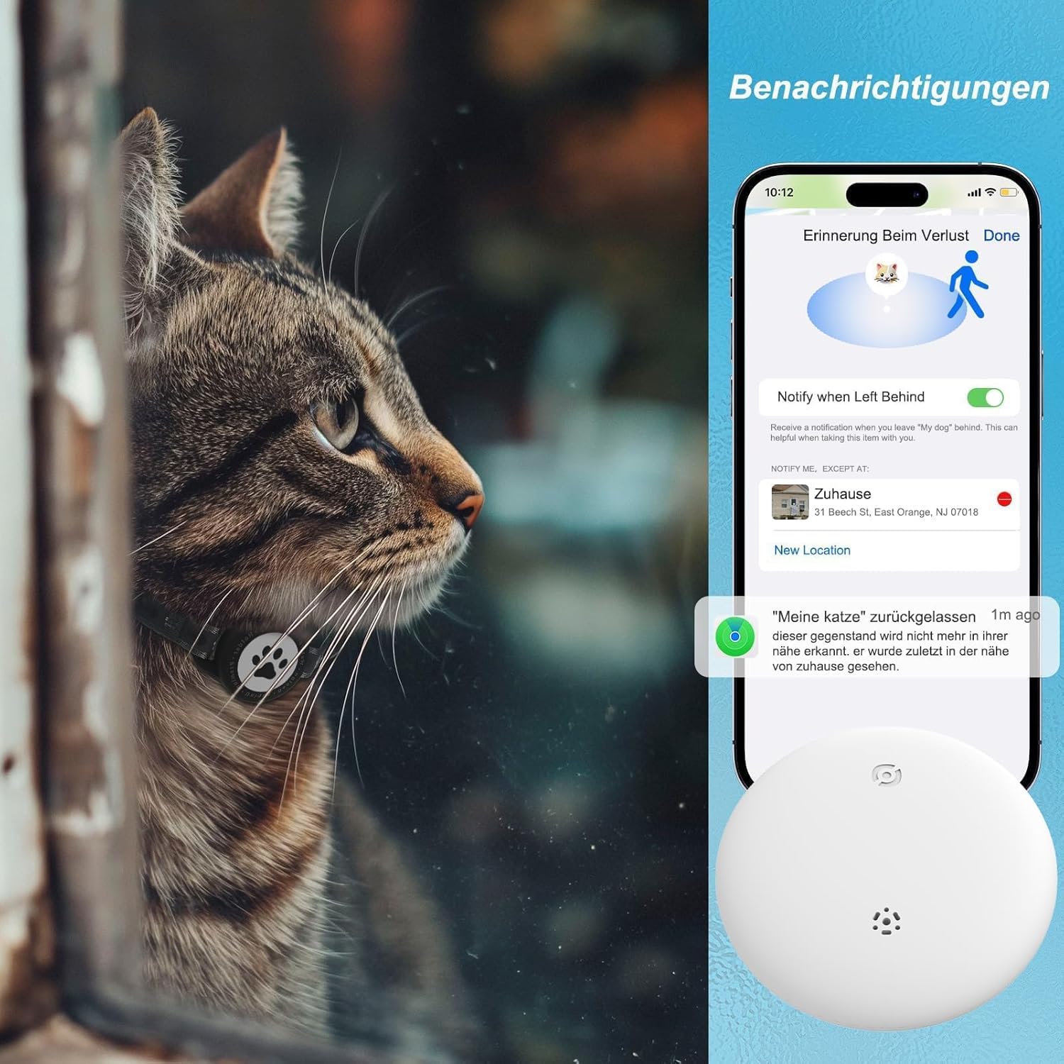 collier chat avec suivi