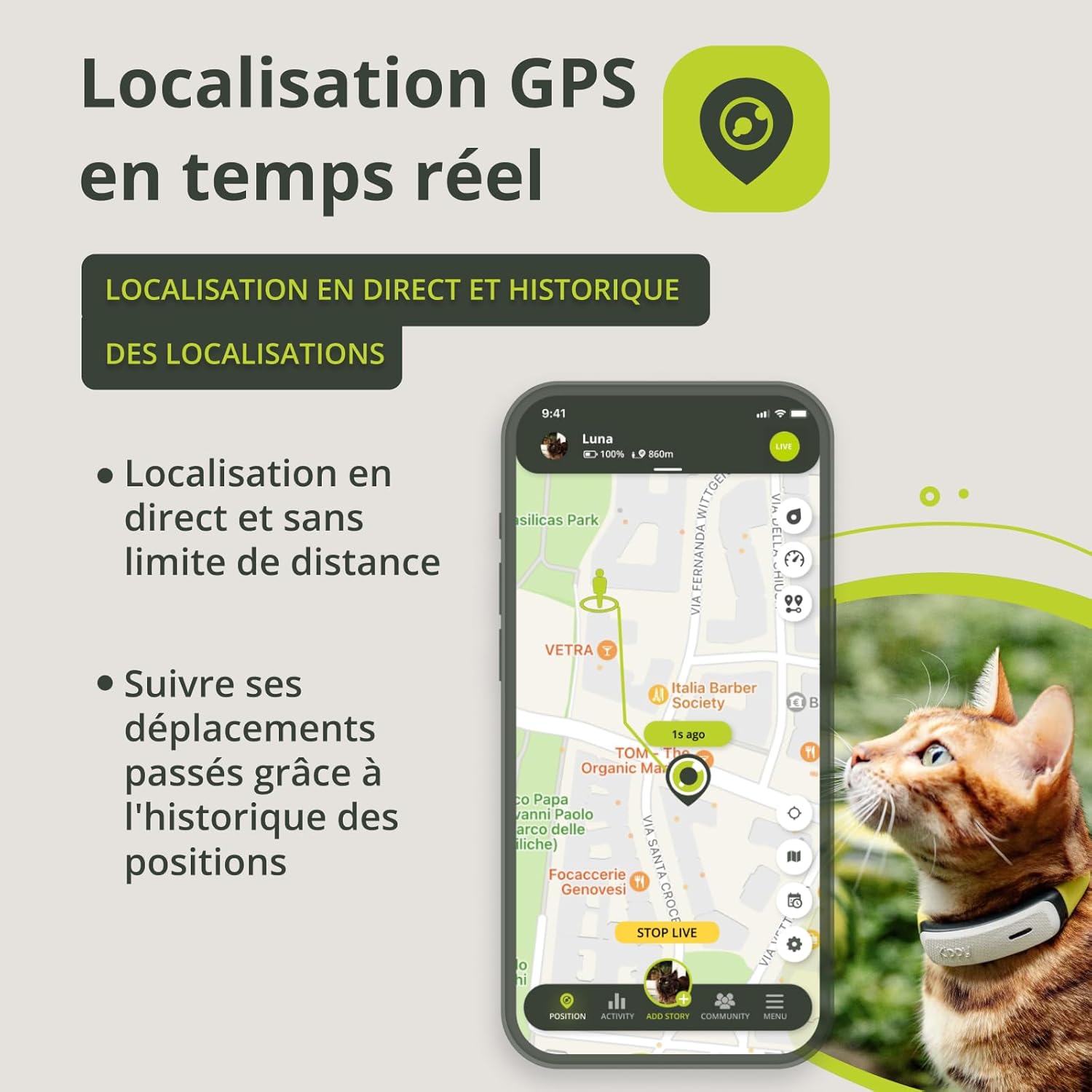 Collier GPS pour chat