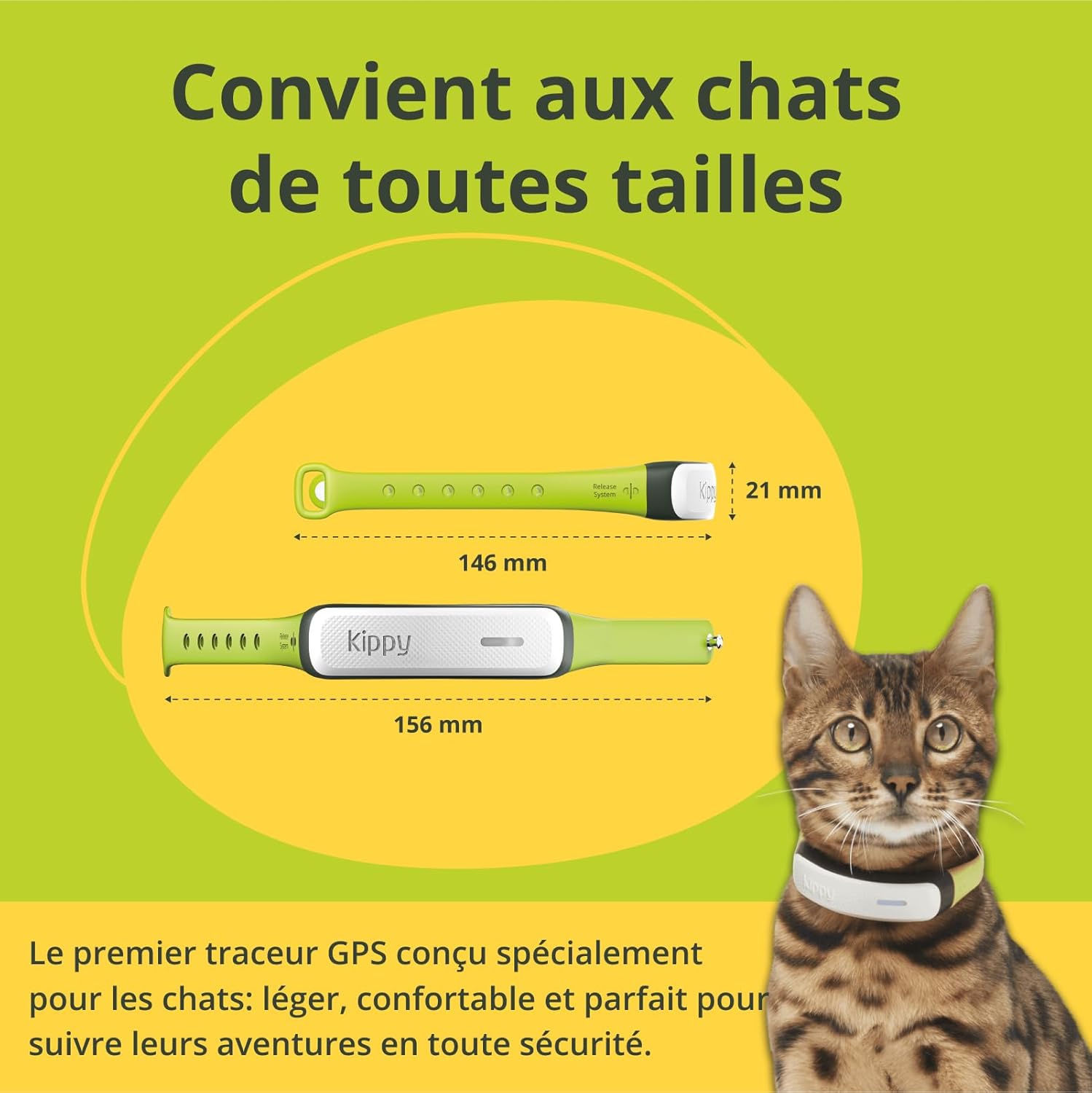 Collier anti-étranglement chat Kippy autonomie 12 jours