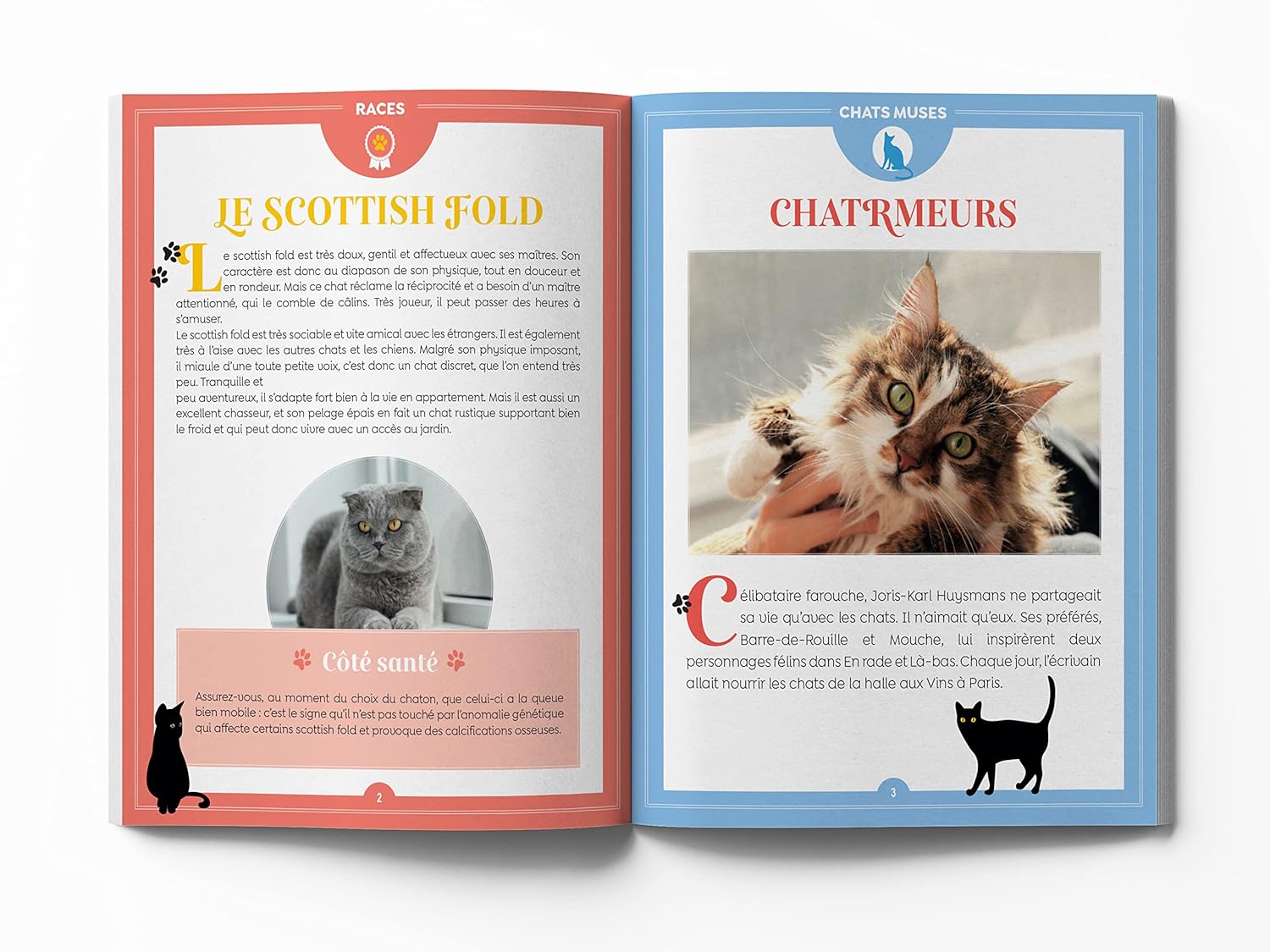 Guide illustré conseils pratiques et anecdotes félines