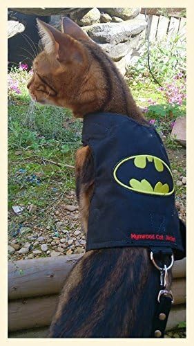 Accessoire chat confortable et stylé Mynwood