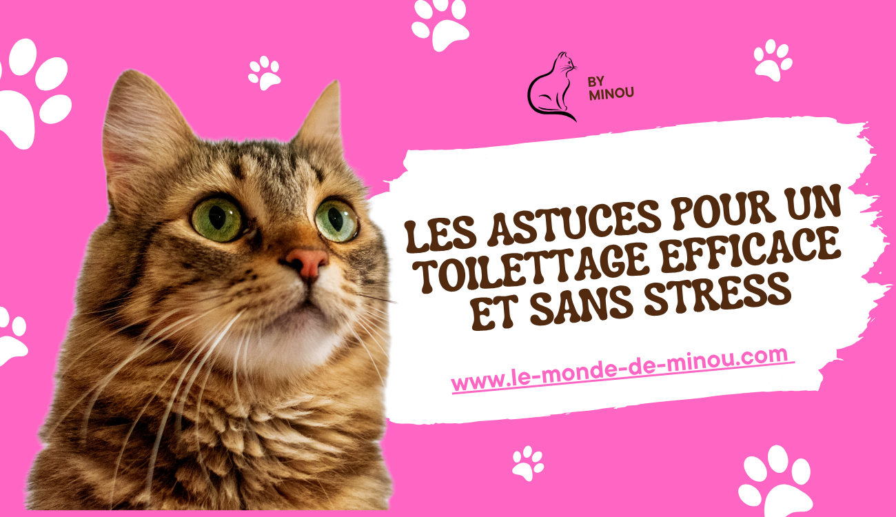 les astuces pour un toilettage efficace et sans stress