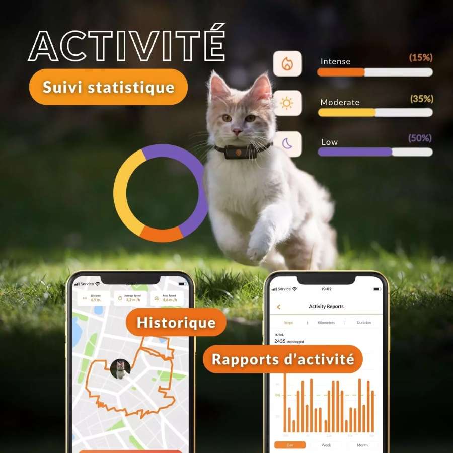 collier gps intelligent pour chat avec suivi d activite historique de deplacements et rapports detailles sur smartphone accessoire connecte pour chats d interieur et d exterieur