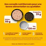 Alimentation chat adulte sensible, riche en poisson