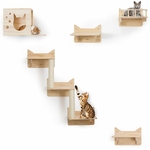 Kit complet MIUZMORE avant installation, avec accessoires de montage