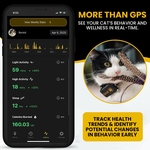 Graphique d’analyse d’activité et de santé sur l’application LootPaw