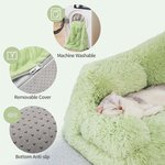 Petit chat blotti sur le canapé-lit vert MEWOOFUN