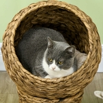 Panier lit surélevé PawHut en feuilles de bananier avec coussin beige