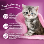 Sachets WHISKAS Junior saveurs poulet, volaille, bœuf, agneau