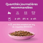 Détail des bouchées tendres et juteuses en sauce