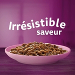 Chaton dégustant un sachet en sauce WHISKAS Junior