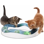 Chat jouant avec le Speed Circuit Catit et la balle lumineuse