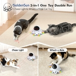 Chat bondissant sur une plume surgissant du jouet GoldenSun