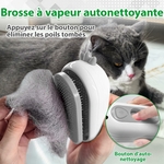 Détail du réservoir et du bouton de pulvérisation de la brosse