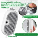 Démonstration de la fonction autonettoyante sur la brosse POIIOPY