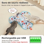 Chat en train de jouer avec un jouet électronique à plumes mobiles et sons de souris