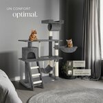 Chat jouant sur tunnel et griffoir en sisal de l’arbre TecTake multi-niveaux.
