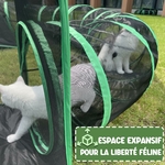 Chaton explorant le tunnel incurvé de l’enclos portable pour chats Pawtenda.