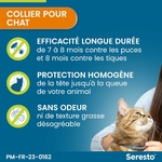 Chat explorant un jardin, protégé efficacement contre les parasites par le collier Seresto