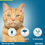 Collier antiparasitaire Seresto gris posé autour du cou d’un chat adulte