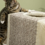 Tunnel pour chat PawHut - jouer et gratter