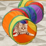 Chaton curieux passant la tête dans le tunnel double UGBO coloré avec balle suspendue