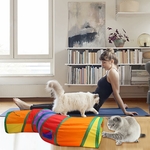 Tunnel UGBO pour chat ou chaton
