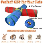 Lapin nain explorant avec curiosité le tunnel coloré Hjkiopc dans un jardin sécurisé
