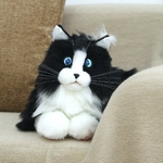 Chat robot metaCat réagissant aux caresses sur la tête