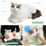 metaCat compagnon idéal pour personnes âgées