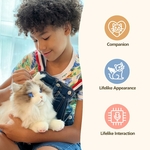 Chat robotique Ragdoll réagissant aux caresses