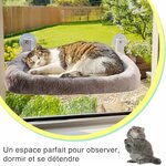 Hamac chat avec ventouses professionnelles sur vitre