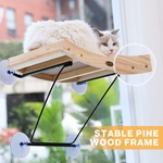Chat observant paisiblement les oiseaux depuis le hamac