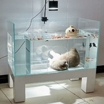 Chat découvrant l’intérieur d’un aquarium luxe MegLob