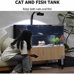Chat épanoui devant aquarium PA-DABAOO, expérience sensorielle unique