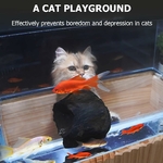 Chat observant des poissons dans aquarium transparent maison moderne