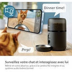 distributeur croquettes pour chat