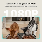 81DvIjVM7jL._AC_SL1500_