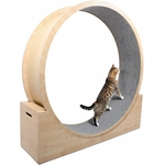 Chat courant sur roue Elmato silencieuse en bois, fitness et bien-être félin.