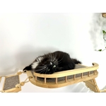 Ensemble mural pour chat composé de ponts en bois de pin, étagères et échelle en sisal naturel.