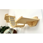 Chat explorant un mur d’escalade avec tapis doux et éléments suspendus en corde sisal.