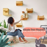Meubles muraux pour grands chats avec étagères, marches et niche décorative
