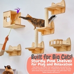 Ensemble de 9 étagères murales pour chat en bois naturel avec griffoir et maison