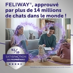Solution apaisante contre griffures et marquages urinaires chat