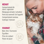 Ambiance relaxante grâce au diffuseur herbe à chat Felisept