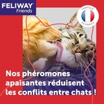 Installation simple du diffuseur FELIWAY Friends dans une pièce fréquentée par les chats